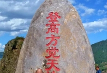 国家油松研究课题组组长沈熙环勉励塞上松品牌发展与成长