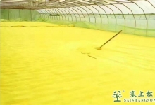 松花粉采摘直播：建晾晒基地，给松花穗建个避风遮雨的家