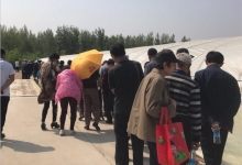 塞上松品牌邀请800名朝阳市民来原料基地参观，科普油松花粉的采摘和加工技术