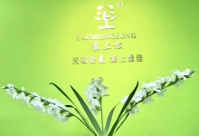 塞上松品牌油松花粉深圳梅林专卖店隆重开业