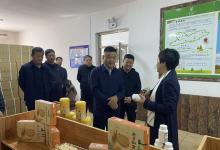 朝阳县委书记石书记一行考察塞上松：赋能油松产业高质量发展