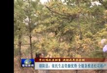 朝阳新闻 | 塞上松：生态资源“点绿成金”，松花粉产业助振兴  