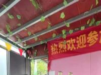 妈妈不再失眠脱发，孩子告别鼻塞咳嗽：我们的蜕变记