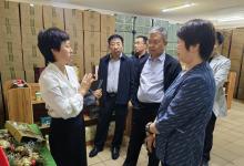 市人大走进塞上松 调研农产品品牌建