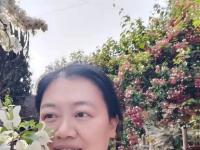 第339期：塞上松油松花粉食疗：年年体检结节消散，年近半百身高反倒长了两厘米