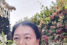 第339期：塞上松油松花粉食疗：年年体检结节消散，年近半百身高反倒长了两厘米